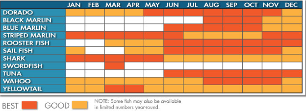 Fishing calendar Los Cabos